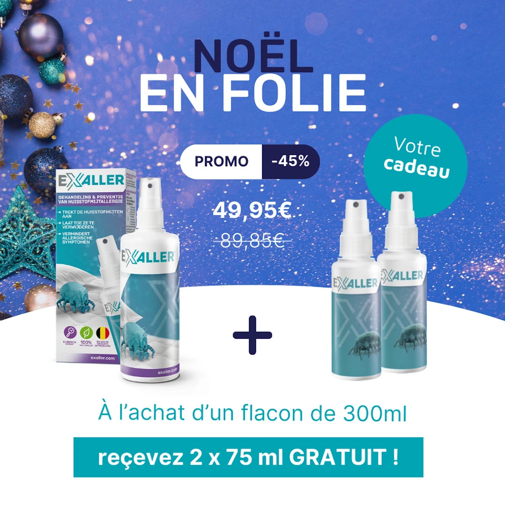 Offre de Noël